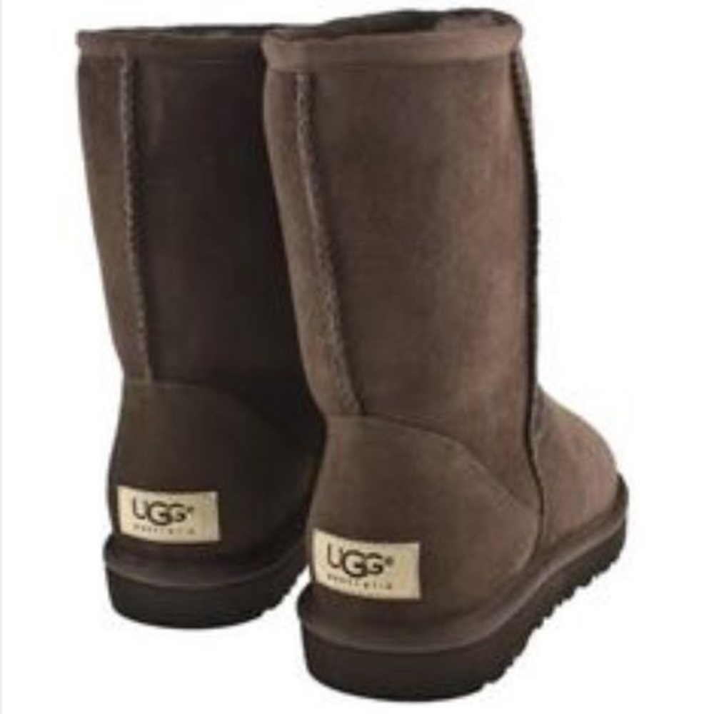 Medium Length Brown Uggs